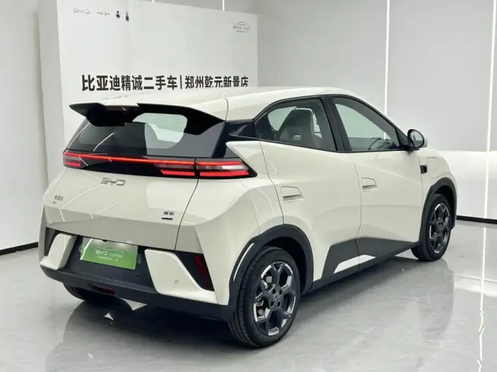BYD Seagull 2025 Model Smart Driving Edition 305KM Free Edition