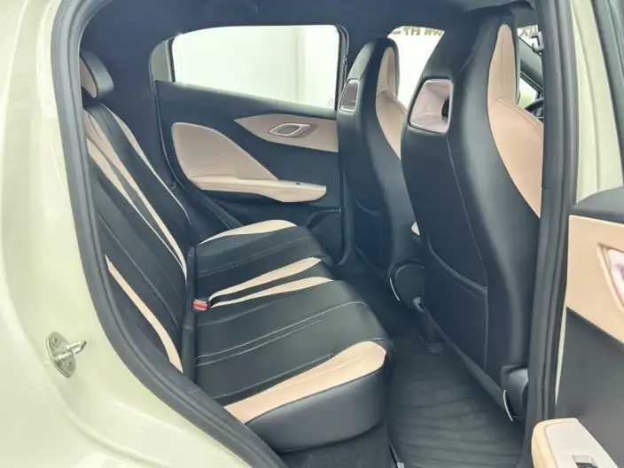 BYD Seagull 2025 Model Smart Driving Edition 305KM Free Edition – фото 10
