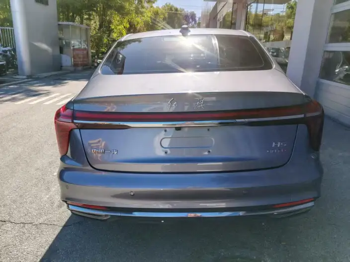 Hongqi H5 2024 Model 2.0T Automatic Flag Enjoy Edition – фото 5