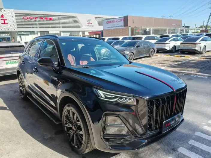 Hongqi HS5 2025 Model 2.0T 4WD Flag Xiang Pro Edition