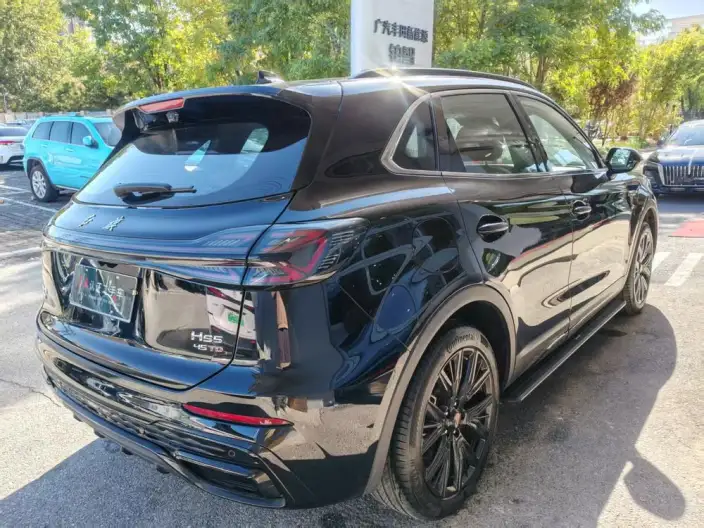 Hongqi HS5 2025 Model 2.0T 4WD Flag Xiang Pro Edition – фото 6