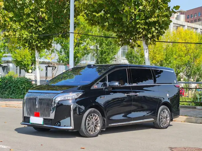 Wey Gaoshan P HEV 2025 Model 4WD Wey Gaoshan 8