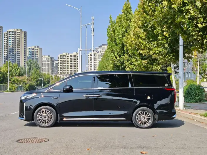 Wey Gaoshan P HEV 2025 Model 4WD Wey Gaoshan 8