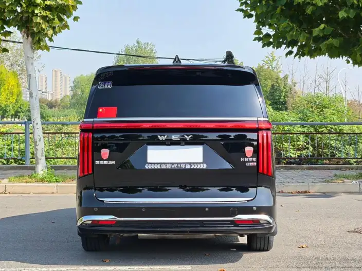 Wey Gaoshan P HEV 2025 Model 4WD Wey Gaoshan 8 – фото 6