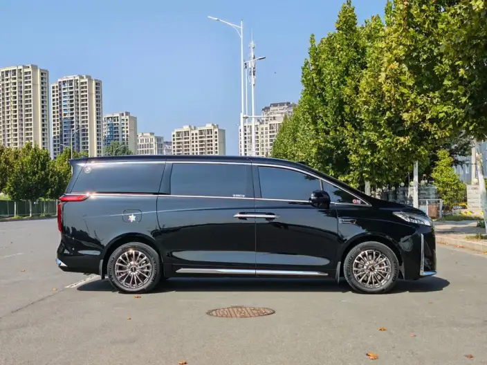 Wey Gaoshan P HEV 2025 Model 4WD Wey Gaoshan 8 – фото 8