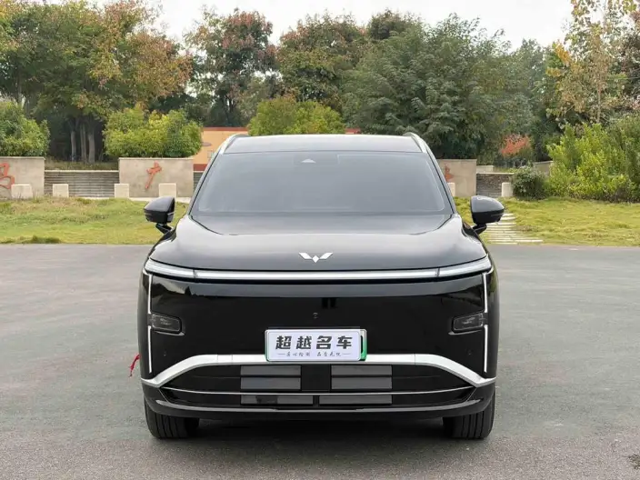 Xingguang L 2026 Model 260km VI seat Flagship Model