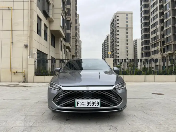 BYD Qin PLUS DM 2025 Model Smart Driving Edition DM-i 55KM Leading Model – фото 2
