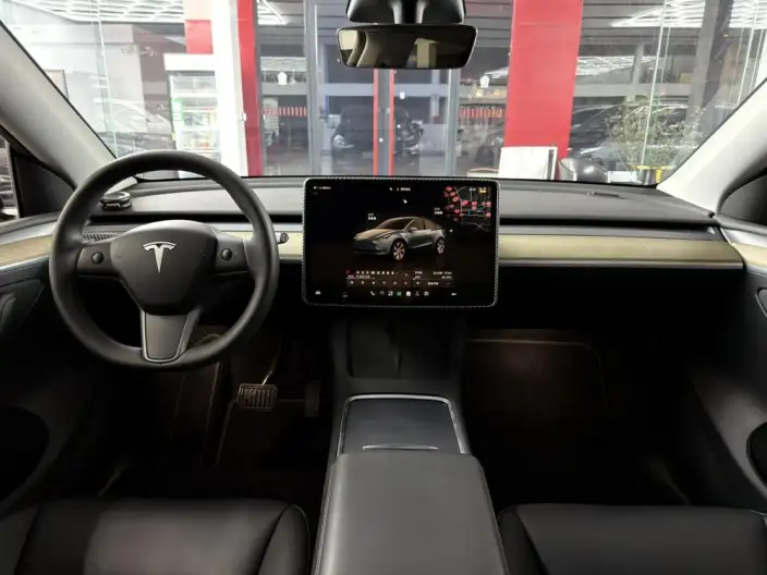 Model Y 2022 Model Facelift Rear-wheel drive version – фото 7