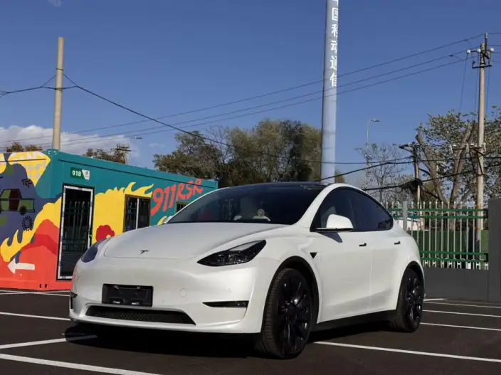 Model Y 2022 Model Performance High performance All-wheel drive version – фото 1