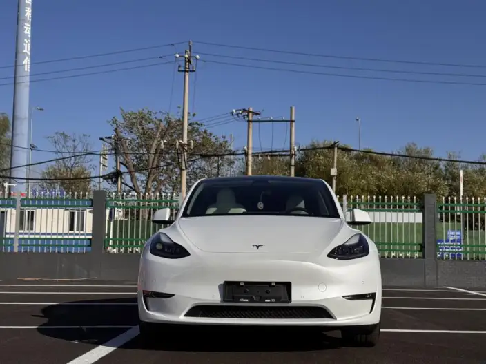 Model Y 2022 Model Performance High performance All-wheel drive version – фото 2