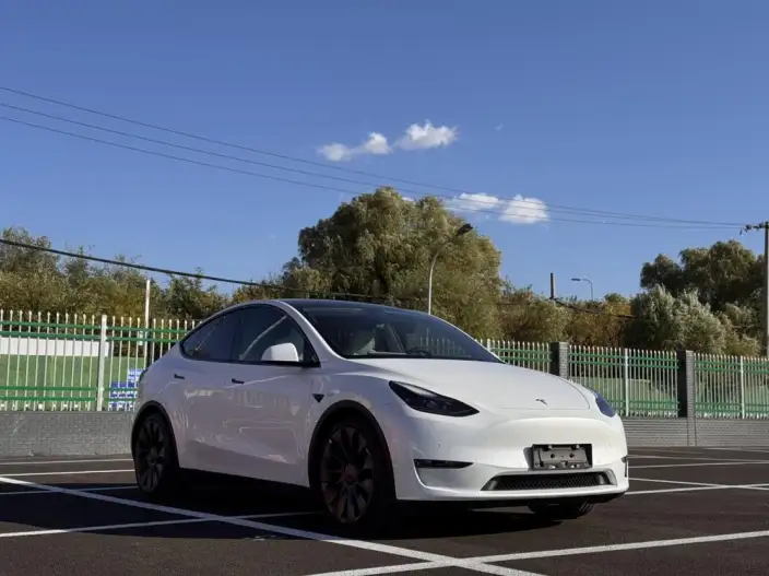 Model Y 2022 Model Performance High performance All-wheel drive version – фото 3
