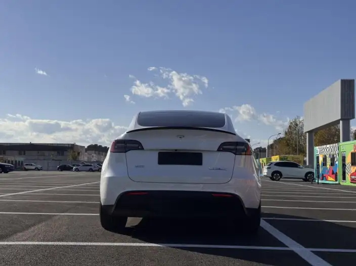 Model Y 2022 Model Performance High performance All-wheel drive version – фото 5