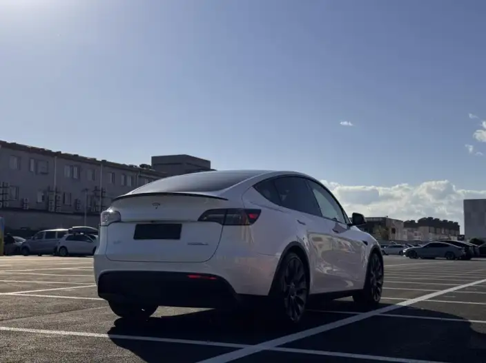 Model Y 2022 Model Performance High performance All-wheel drive version – фото 6