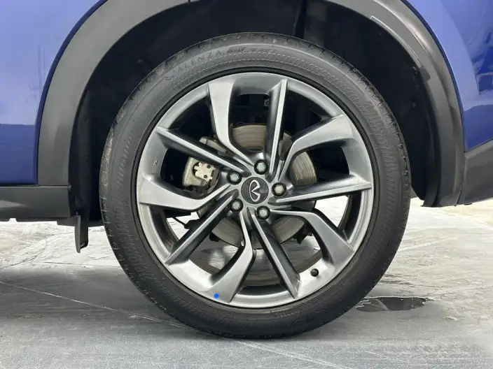 Infiniti QX50 2024 Model 2.0T 2WD Pilot Edition – фото 9