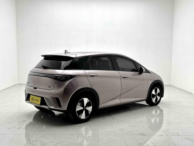 BYD Qin L DM 2024 DM-i 120KM Beyond 2023 Freedom Edition – фото 4