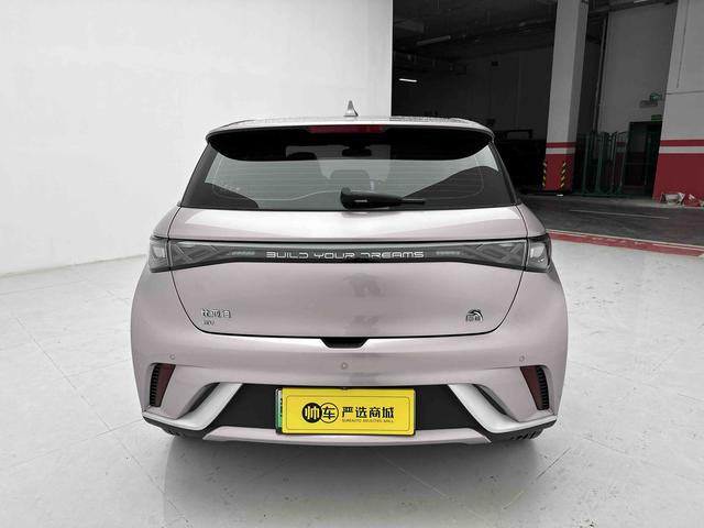BYD Qin L DM 2024 DM-i 120KM Beyond 2023 Freedom Edition – фото 5