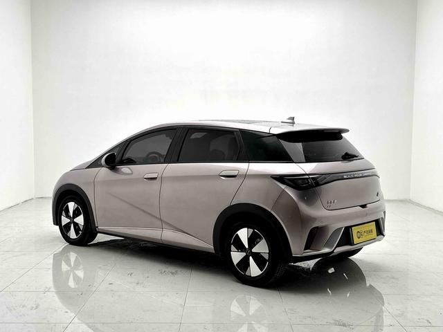 BYD Qin L DM 2024 DM-i 120KM Beyond 2023 Freedom Edition – фото 6