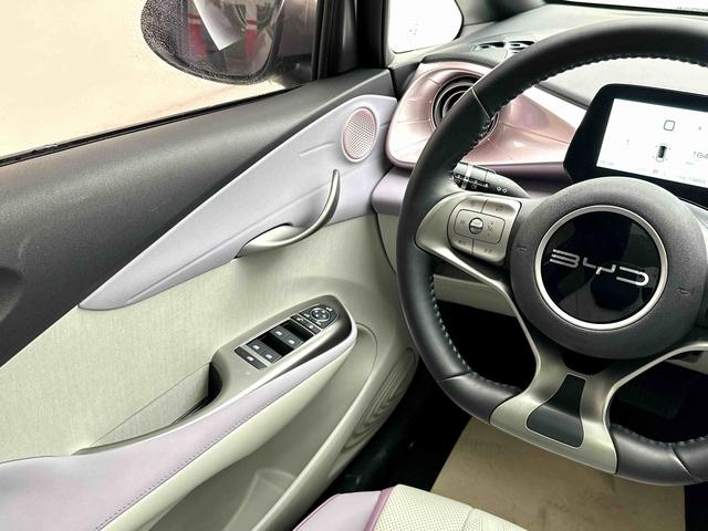 BYD Qin L DM 2024 DM-i 120KM Beyond 2023 Freedom Edition – фото 16