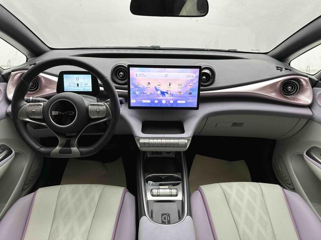 BYD Qin L DM 2024 DM-i 120KM Beyond 2023 Freedom Edition – фото 17