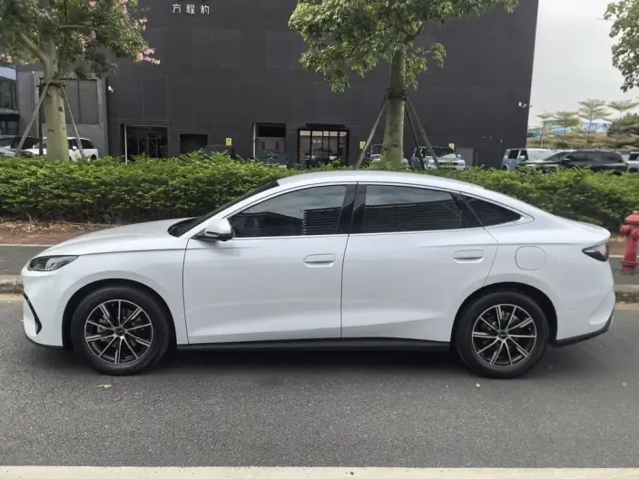 BYD Seal 06 DM 2024 Model DM-i 80KM Noble Model – фото 4