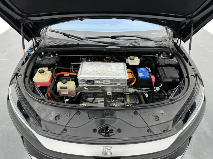 BYD Han EV 2021 Model Standard battery life version Luxury Model – фото 10