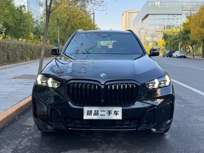 BMW X5 2023 Model xDrive40Li M Sports Night Set – фото 2