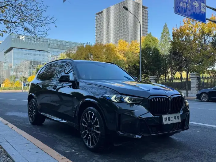 BMW X5 2023 Model xDrive40Li M Sports Night Set – фото 3