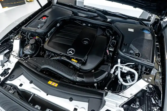 Mercedes-Benz E-Class 2022 Model Facelift E 300 L Luxury Model sedan – фото 9