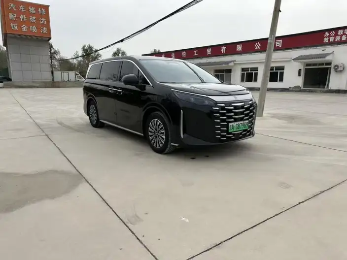 Xia 2025 Model DM-i 180KM Excellence Model – фото 3