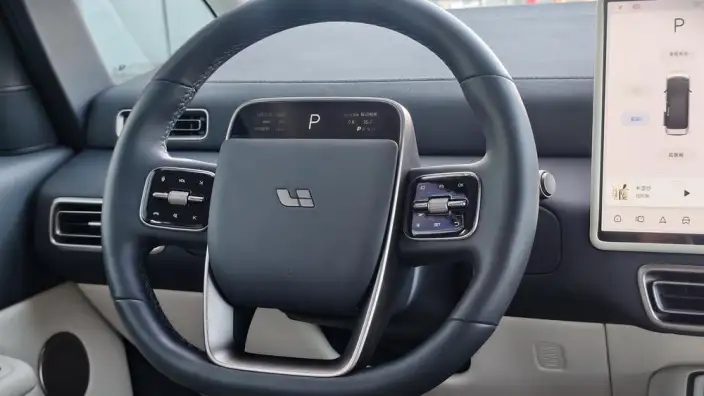 Li Auto MEGA 2025 Model Home Family Special Edition – фото 10