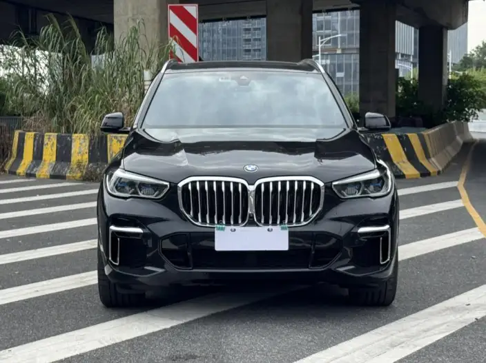 BMW X5 2022 Model xDrive 40Li M Sports Set – фото 2