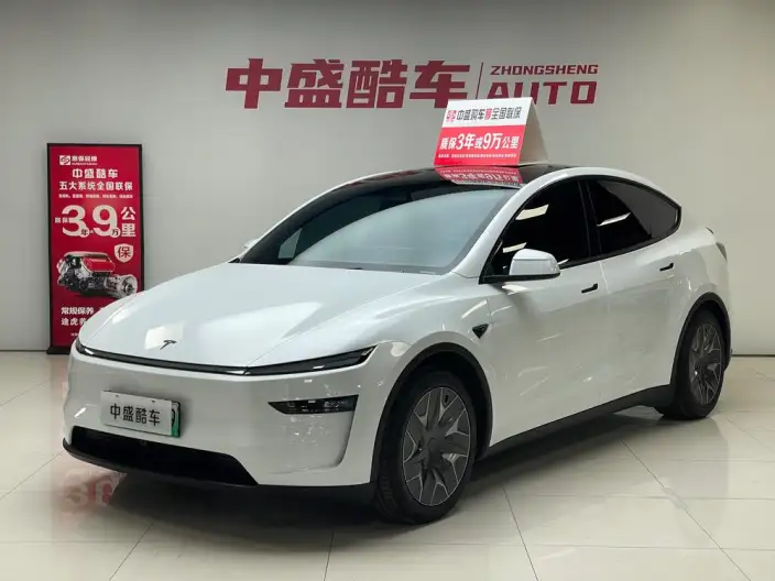 Model Y 2025 Model Long Battery Life Pro All-wheel drive version – фото 1