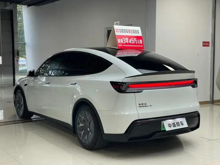 Model Y 2025 Model Long Battery Life Pro All-wheel drive version – фото 4