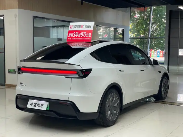 Model Y 2025 Model Long Battery Life Pro All-wheel drive version – фото 6