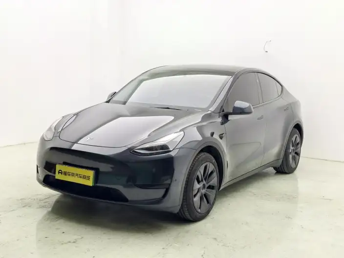 Model Y 2024 Model Rear-wheel drive version – фото 1