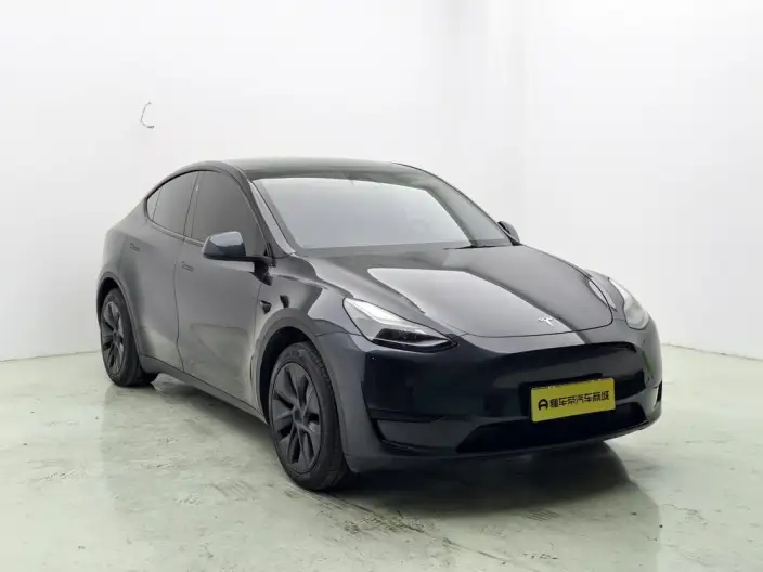 Model Y 2024 Model Rear-wheel drive version – фото 3