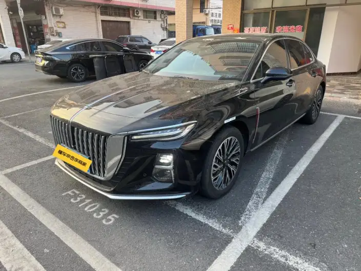 Hongqi H5 2024 Model 2.0T Automatic Flag Enjoy Edition – фото 1