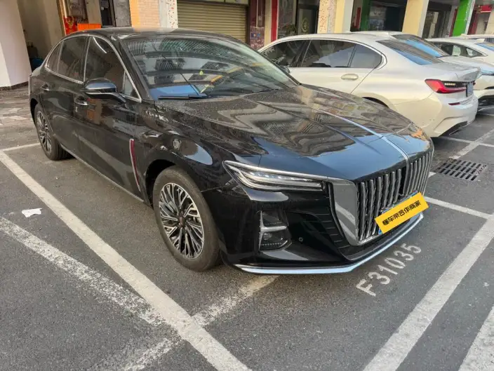 Hongqi H5 2024 Model 2.0T Automatic Flag Enjoy Edition – фото 3