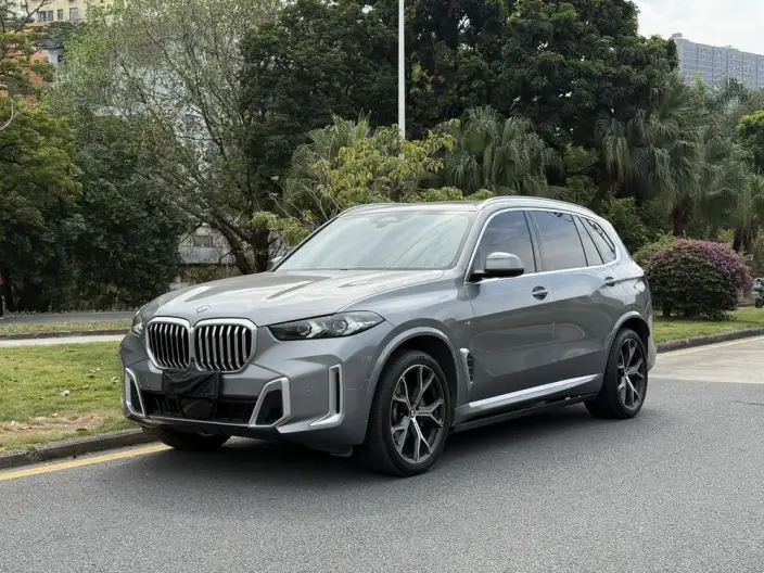 BMW X5 2023 Model xDrive30Li Exclusive Model M Sports Set – фото 1