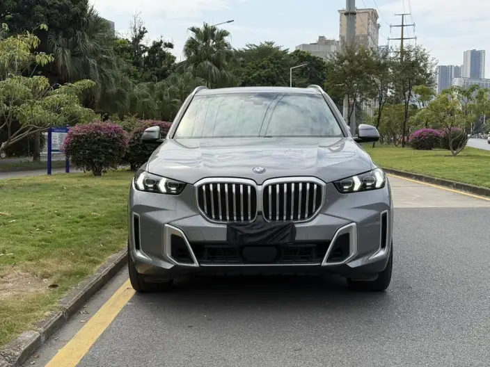 BMW X5 2023 Model xDrive30Li Exclusive Model M Sports Set – фото 2