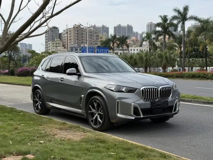 BMW X5 2023 Model xDrive30Li Exclusive Model M Sports Set – фото 3