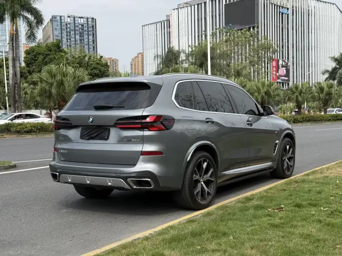 BMW X5 2023 Model xDrive30Li Exclusive Model M Sports Set – фото 7
