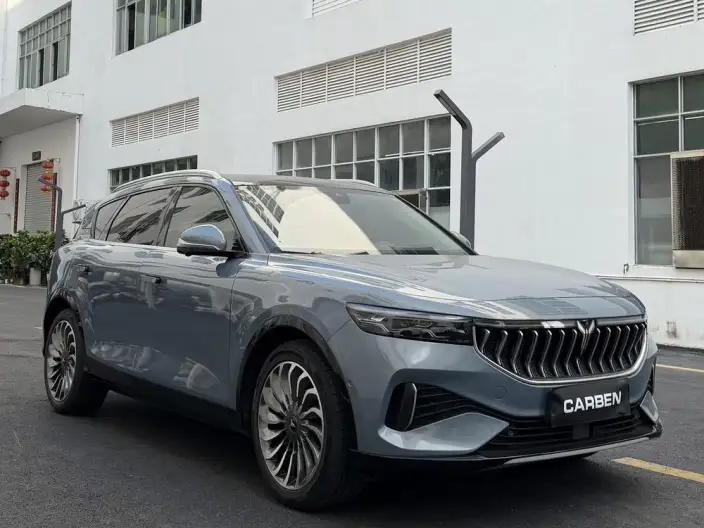 VOYAH FREE 2021 Model 2WD Standard EV City Edition