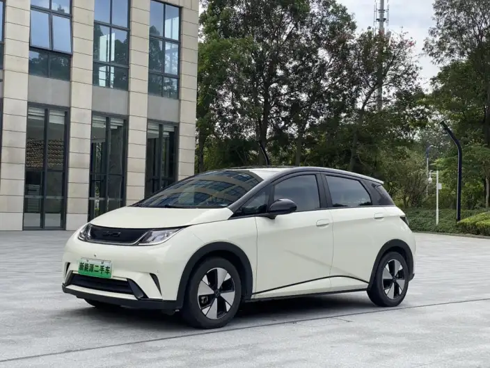 BYD Dolphin 2023 Model Fashion Edition – фото 1