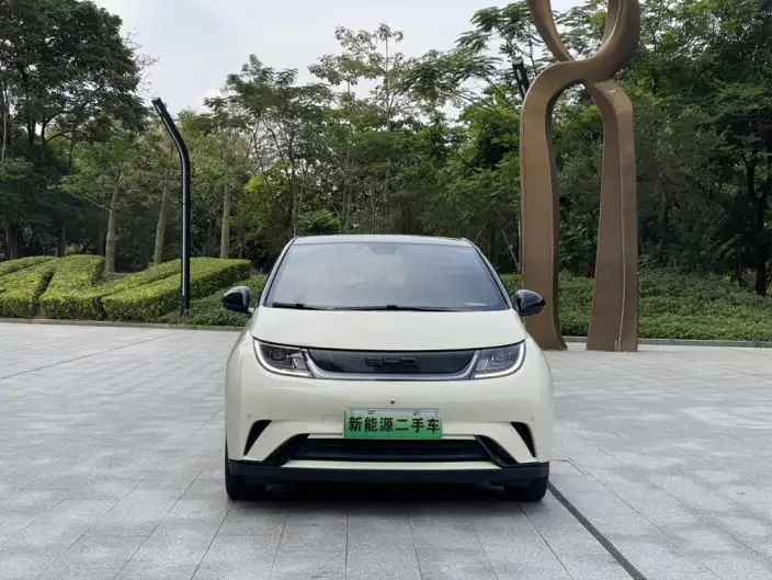 BYD Dolphin 2023 Model Fashion Edition – фото 2