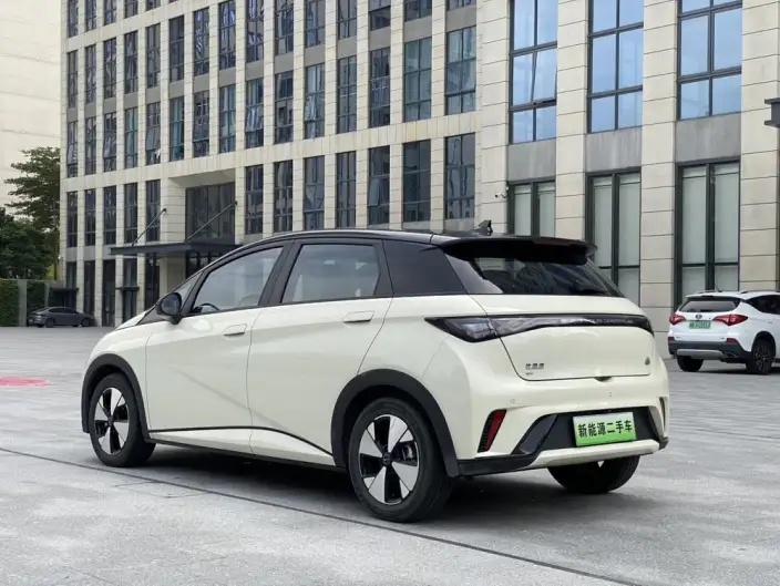 BYD Dolphin 2023 Model Fashion Edition – фото 4