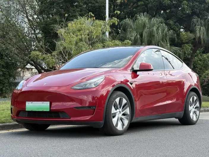 Model Y 2021 Model Standard Battery Life Rear-wheel drive version – фото 1
