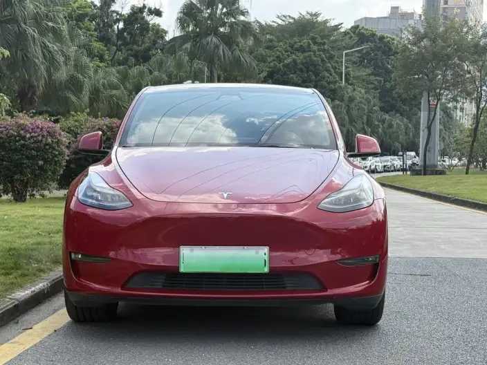 Model Y 2021 Model Standard Battery Life Rear-wheel drive version – фото 2