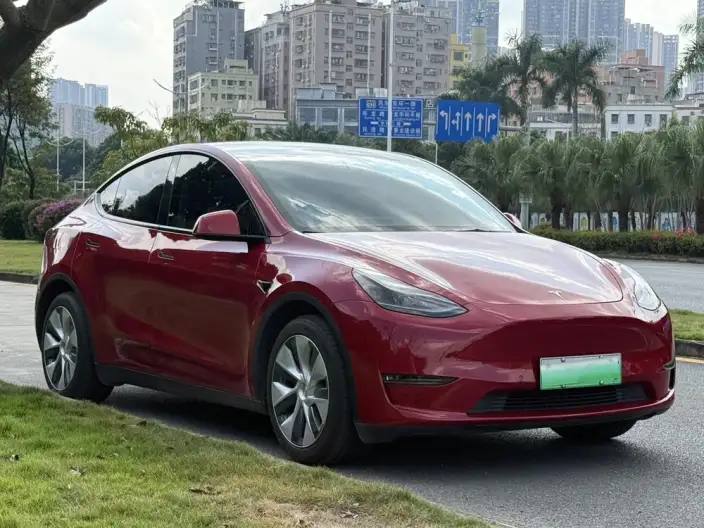 Model Y 2021 Model Standard Battery Life Rear-wheel drive version – фото 3