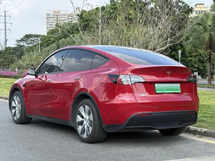 Model Y 2021 Model Standard Battery Life Rear-wheel drive version – фото 4